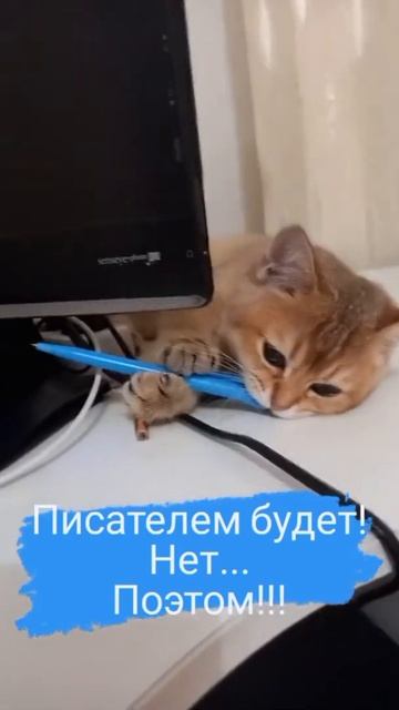 Доброе утро! Позитив от Марселя. Познаем мир с Марселем! смотреть онлайн