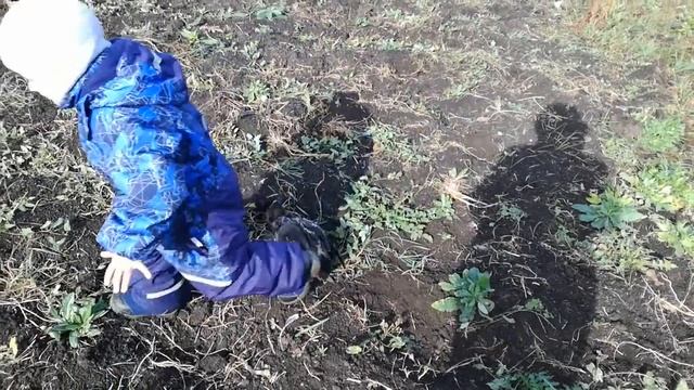 Малыш, утка,охота, прикол смотреть онлайн