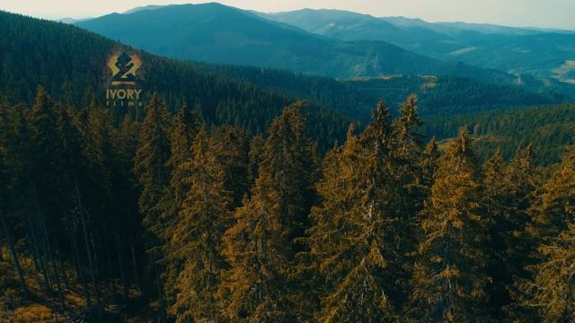 Мегура - відео з коптера - IVORY Films 4K #Карпаты #Мегура #Carpathians #Mountains смотреть онлайн