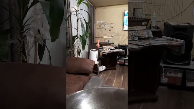 новоуральск