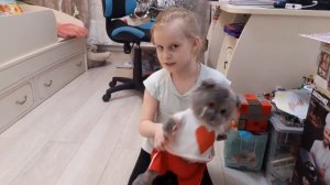 Лиза оживить кота БАСИКА. Он реально ЖИВОЙ #челендж #челлендж #оживление #приколы