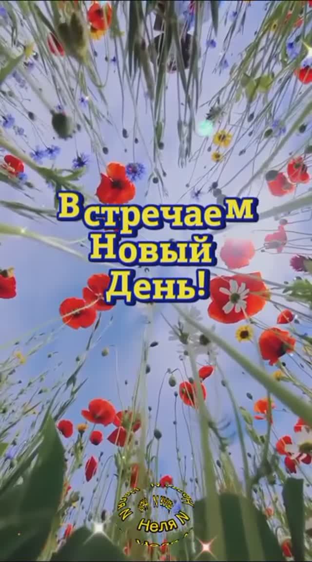 Доброе утро. ВидеоОткрытки смотреть онлайн