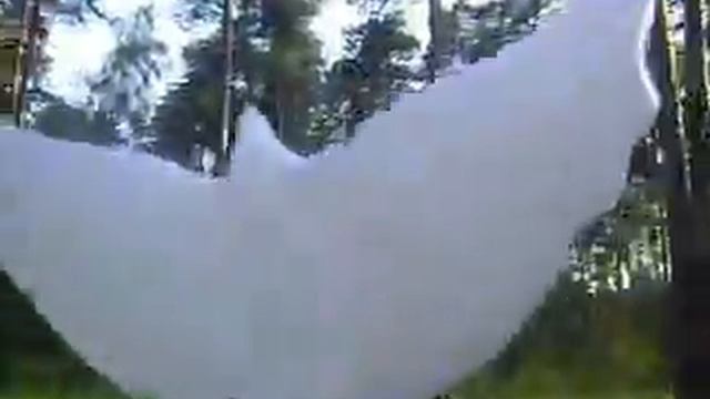 Запуск голубя смотреть онлайн