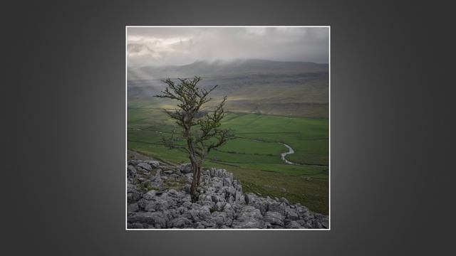 Я снимал на Nikon Z8, но думаю, что остановлюсь на Nikon Z7II смотреть онлайн