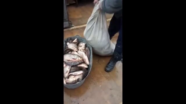 ВОТ ЭТО УЛЕТНЫЕ ПРИКОЛЫ НА РЫБАЛКЕ #4 смотреть онлайн