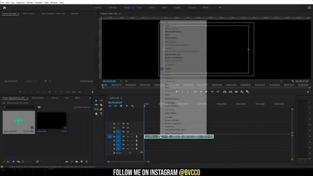 FASTEST Way to Convert Mono to Stereo Audio in Premiere Pro (Tutorial) смотреть онлайн