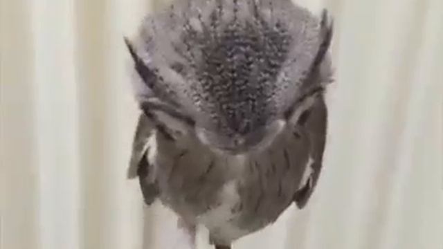 как я иду на работу) смотреть онлайн