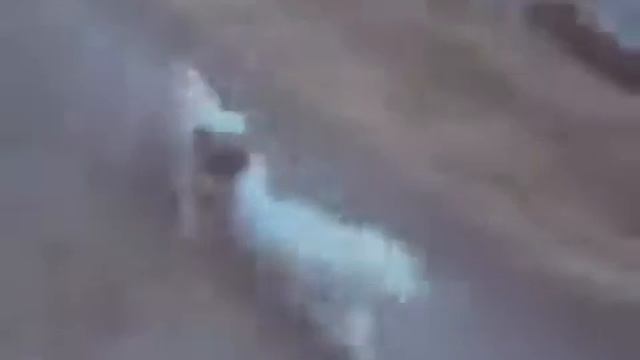 ФЕСТИВАЛЬ ВИДЕОРОЛИКОВ смотреть онлайн