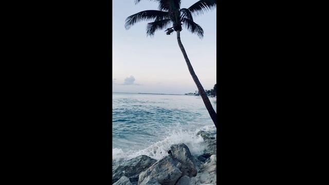 Раслябляющая музыка 🎶. Для души. #relaxing #раслабся #душа смотреть онлайн