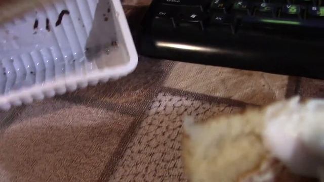 Мороженко с рулетом смотреть онлайн