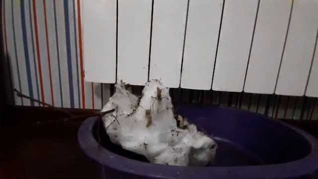 #тает #снеговик #бистро #быстро #ускореная #семка #прикол #подписки #подпишись #пж #старался #я смотреть онлайн