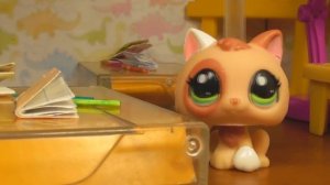 LPS сериал: Спортсменка 1 серия