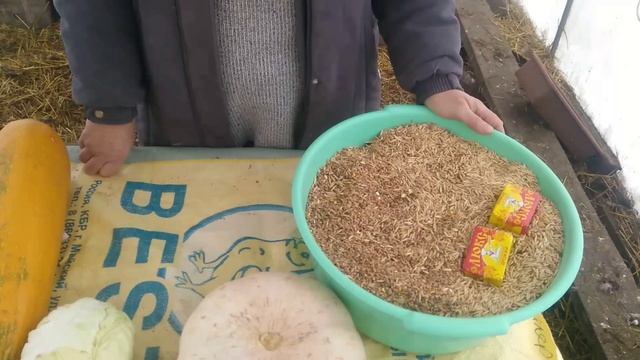Куры не несутся!? Как мы справились с этой проблемой, рассказываем о своем опыте смотреть онлайн