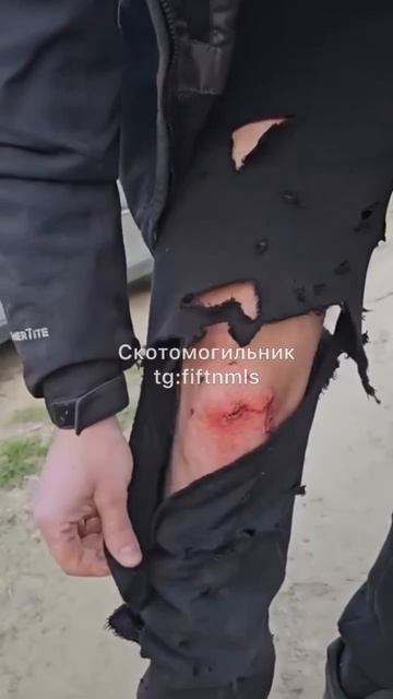 Два нераба вырвались из Украины смотреть онлайн