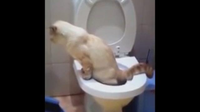 Простые приколы смотреть онлайн