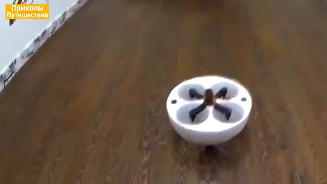 ПРИКОЛЫ 2016. СБОРНИК СМЕШНЫХ ВИДЕО ДЛЯ ВЗРОСЛЫХ смотреть онлайн