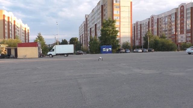 Интересные новости и планы на жизнь!) смотреть онлайн