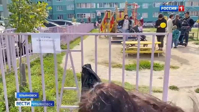 Забота об экологии может быть выгодной
