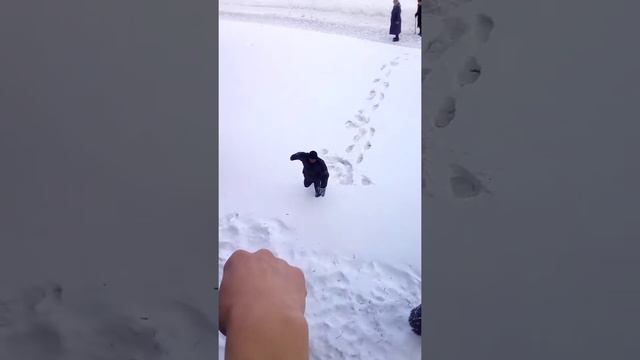 Прикол с сигаретой смотреть онлайн