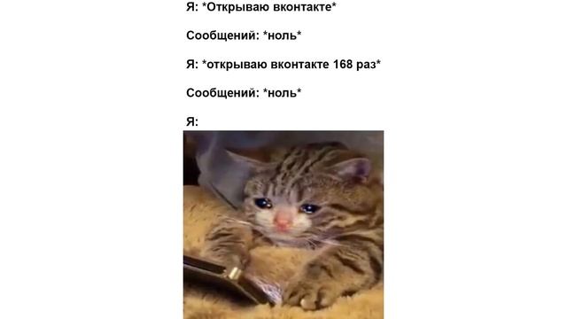 Приколы с котами. Доктор, что это у меня? | Мемозг #346 смотреть онлайн