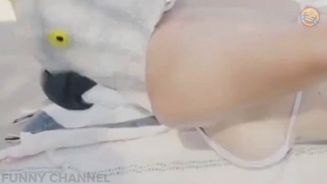 ПОДБОРКА ПРИКОЛОВ МАЙ СМЕШНЫЕ ВИДЕО 2019 ЛУЧШИЕ ПРИКОЛЫ ржака угар жесть ржач ржака до слез #114 смотреть онлайн