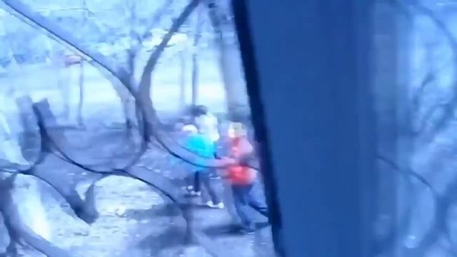 Самые смешные видео | Подборка приколов смотреть онлайн