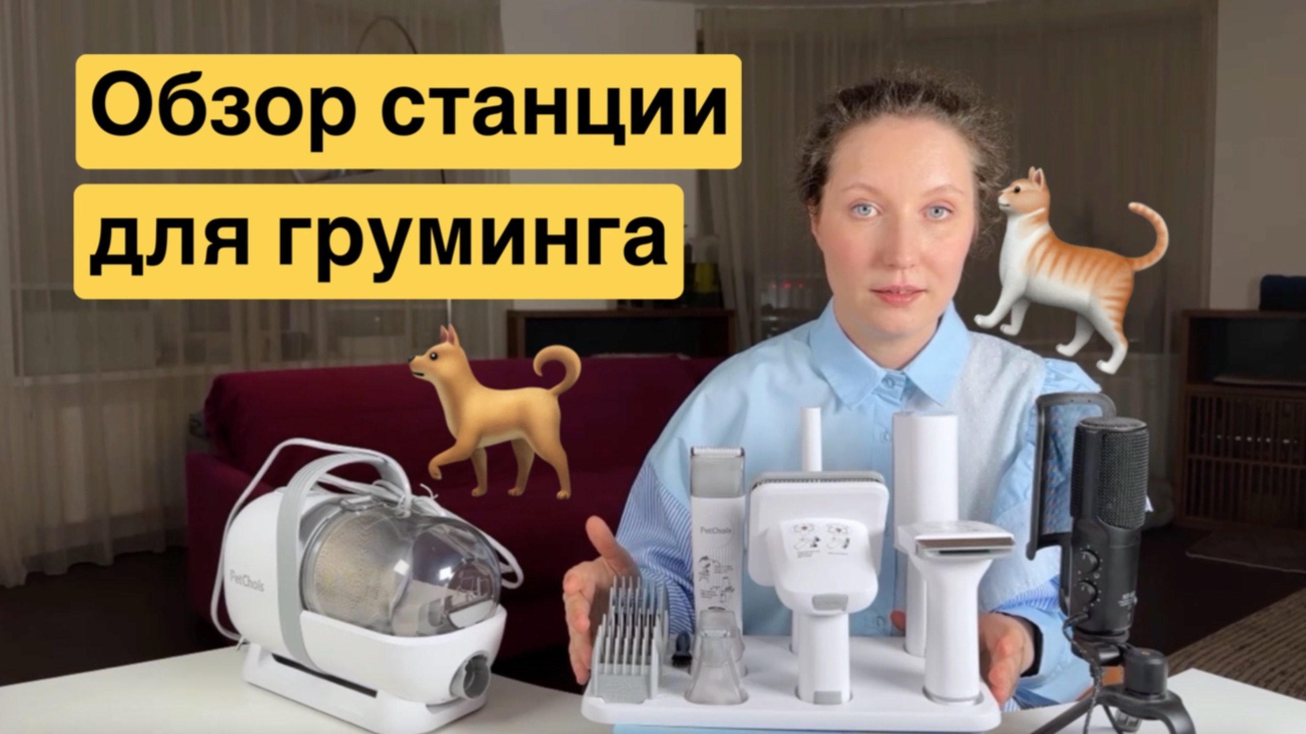Пылесос для животных? Обзор станции для груминга смотреть онлайн
