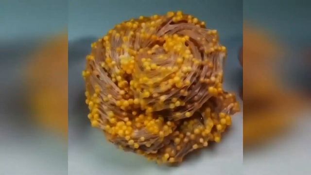 НОВЫЕ Крутые Слайм Истории Смешные Истории из Тик Тока Слаймы и мыло и Истории ПОДБОРКА #2 смотреть онлайн
