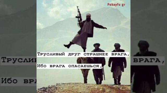Лучшие цитаты, 🥀 грустные, крутые, смешные цитаты 🔥😍 смотреть онлайн
