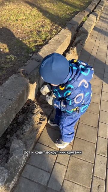 Ищем «ТАРАКАНОВ» 😂🪳 #дети #юмор #funny #приколы #cutebaby #смех #шутки #семейныйблог смотреть онлайн