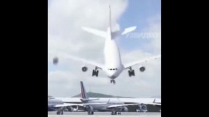 Самолёт стал птицей мем