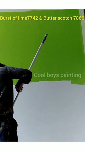 Interior room double colour combination, asian paint burst of lime 7742 & butter scotch 7866 смотреть онлайн