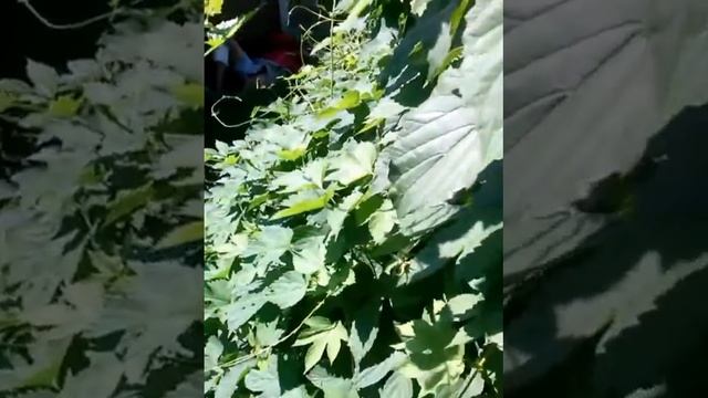 Лежит бомж #3 смотреть онлайн