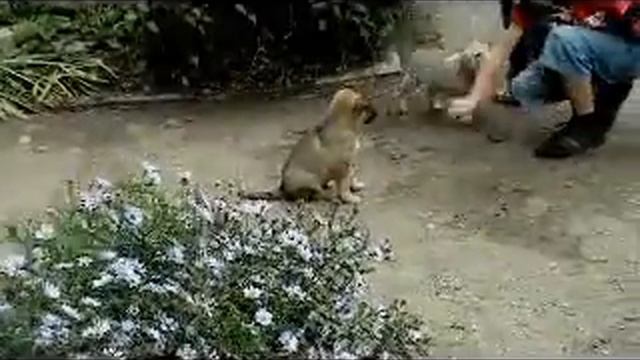 Обычный рабочий день молодых артистов цирка