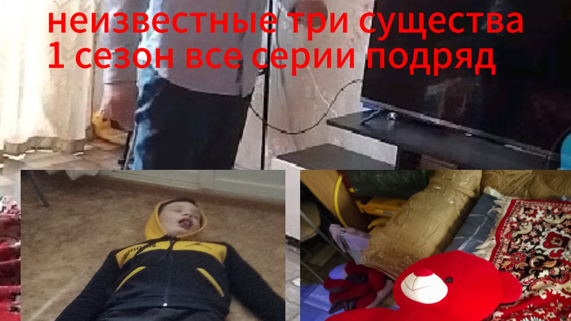 неизвестные три существа 1 сезон все серии подряд