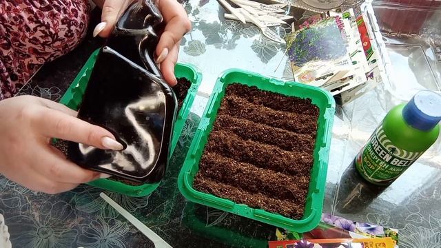 🌺Посев ампельной петуньи двумя способами.🌺Аж душа запела.😄 смотреть онлайн