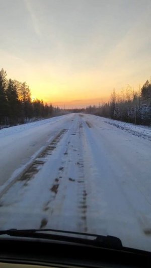 Едем домой к детям 2 #далыр #верхневилюйск #сахасирэ #саха #якутия #дорога #газель #газель3302 #газ