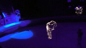 Цирк в Сочи "Девочка и слон"