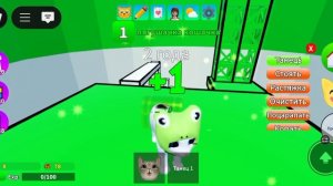 игра с котятами