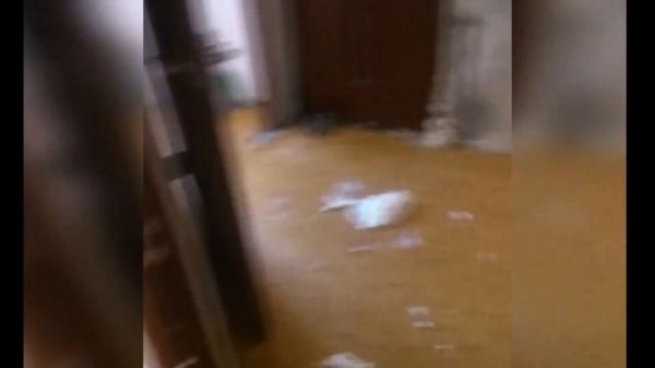 РУКОЖОПЫ В ДЕЛЕ !!!