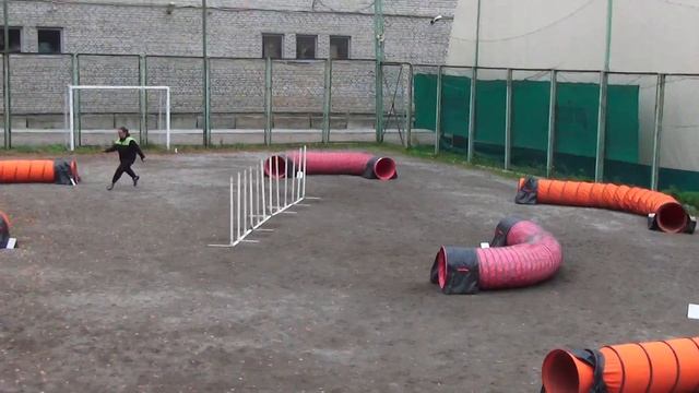 Слаломно-туннельная. Трунова Марина и шпиц Тюльпан смотреть онлайн