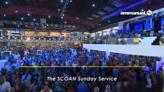 О карьере  ТБДжошуа