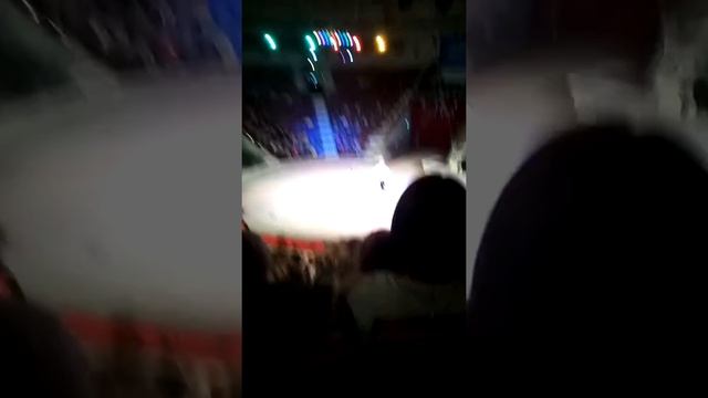 15 марта 2020 г.