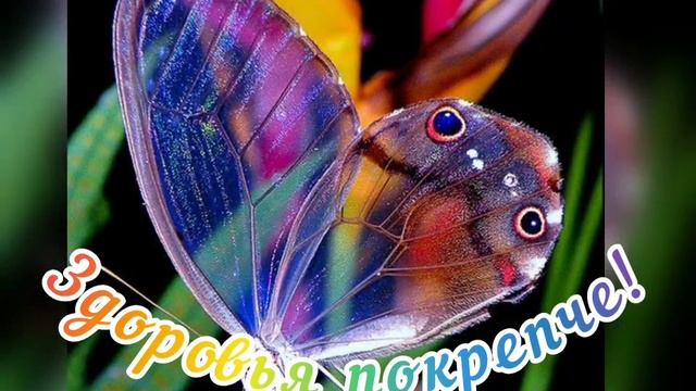 С добрым утром🌞❤️ 🦋🦋🦋 С добрым днем☀️😊🦋🦋🦋🦋🦋 смотреть онлайн