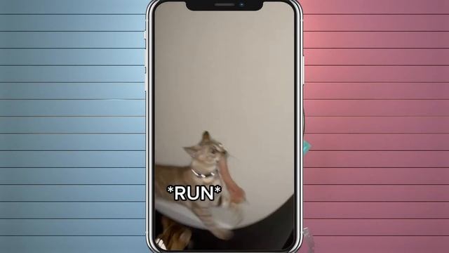 Новые видео приколы 2021 года! #14| 300 секунд смеха! Ржу не могу🤣 смотреть онлайн