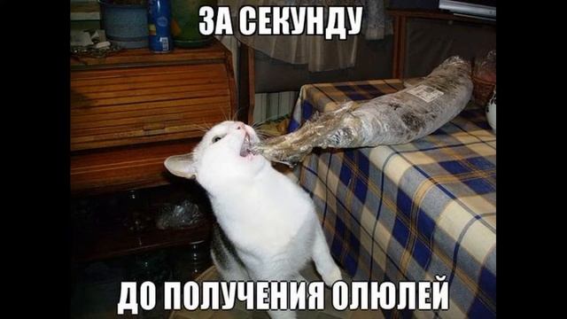 Фото Юмор XA XA UA № 22 смотреть онлайн