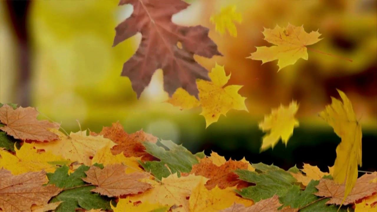 Эдуард Жолудев - "Осенний бал". Читает Владислав Витковский смотреть онлайн