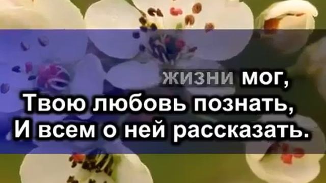 КАРАОКЕ – Жизнь посвящаю Тебе