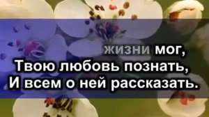 КАРАОКЕ – Жизнь посвящаю Тебе