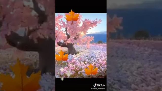 доброе утро смотреть онлайн